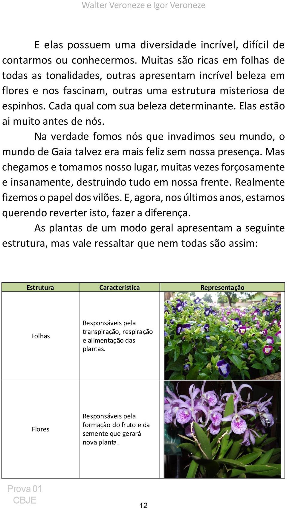 Elas estão ai muito antes de nós. Na verdade fomos nós que invadimos seu mundo, o mundo de Gaia talvez era mais feliz sem nossa presença.