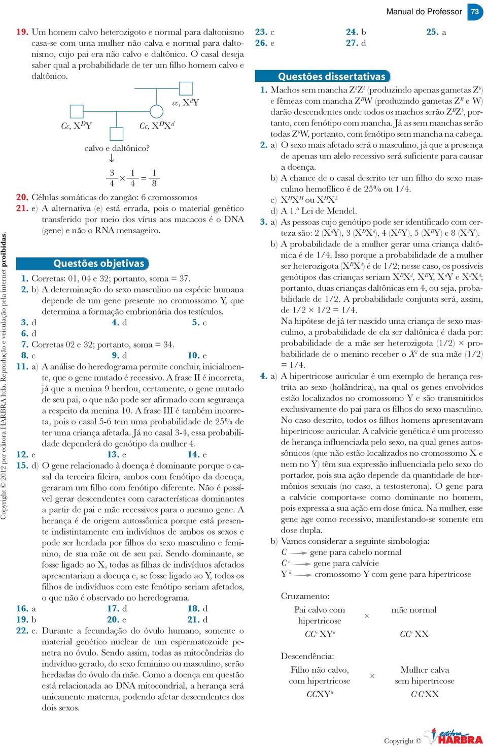 Cc, X D Y clvo e dltônico? Cc, X D X d = 8 cc, X d Y 0. Céluls somátics do zngão: 6 cromossomos.