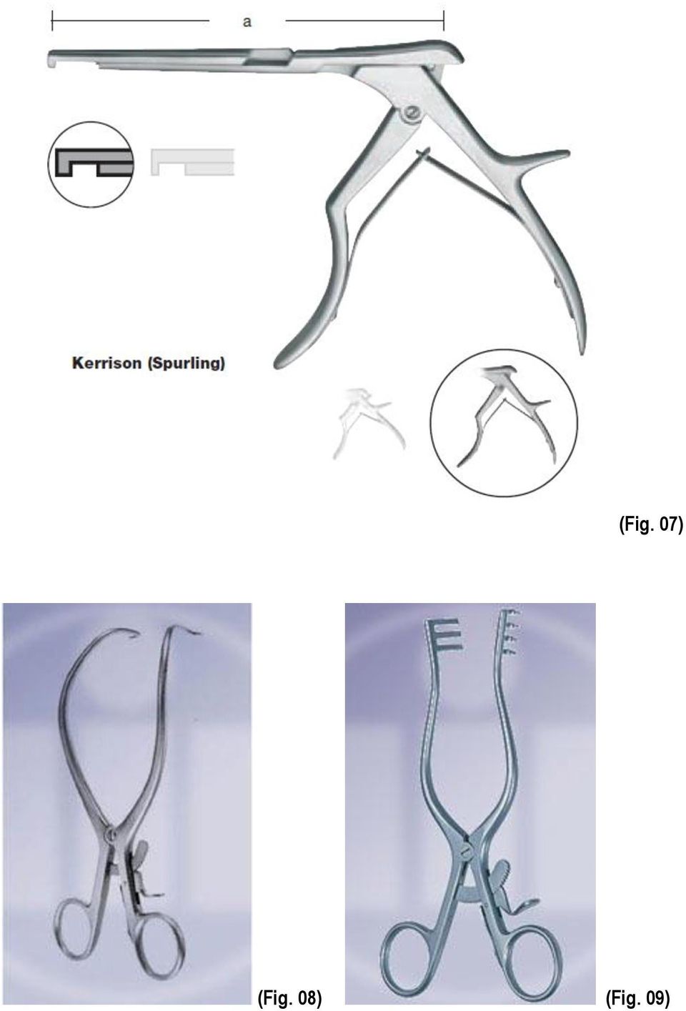 (Fig. 09)