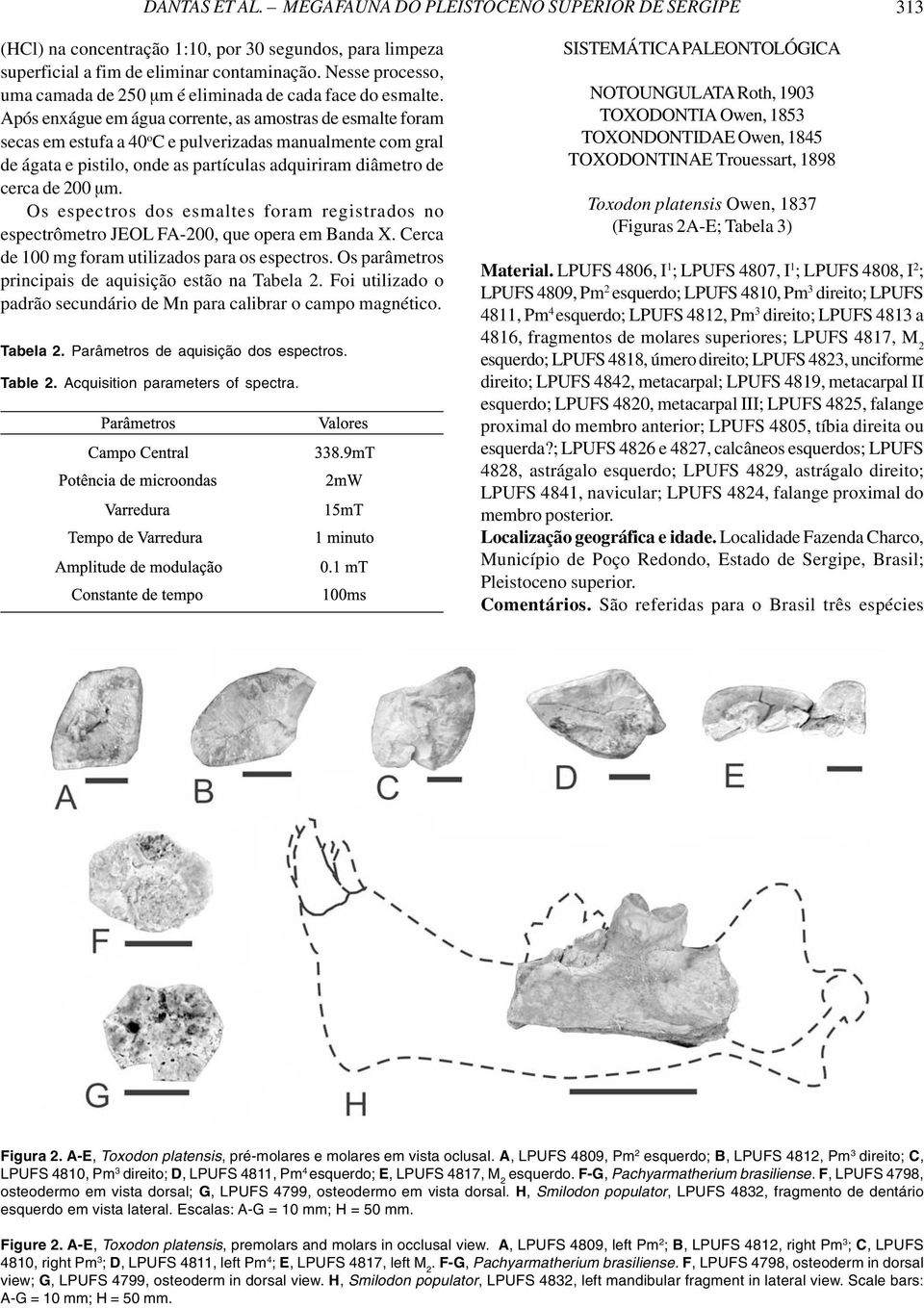 Após enxágue em água corrente, as amostras de esmalte foram secas em estufa a 40 o C e pulverizadas manualmente com gral de ágata e pistilo, onde as partículas adquiriram diâmetro de cerca de 200 µm.