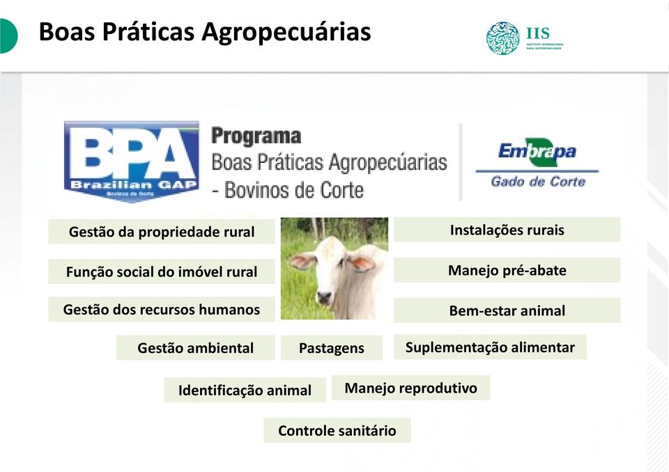 Pastagens Instalações rurais Manejo pré-abate Bem-estar animal