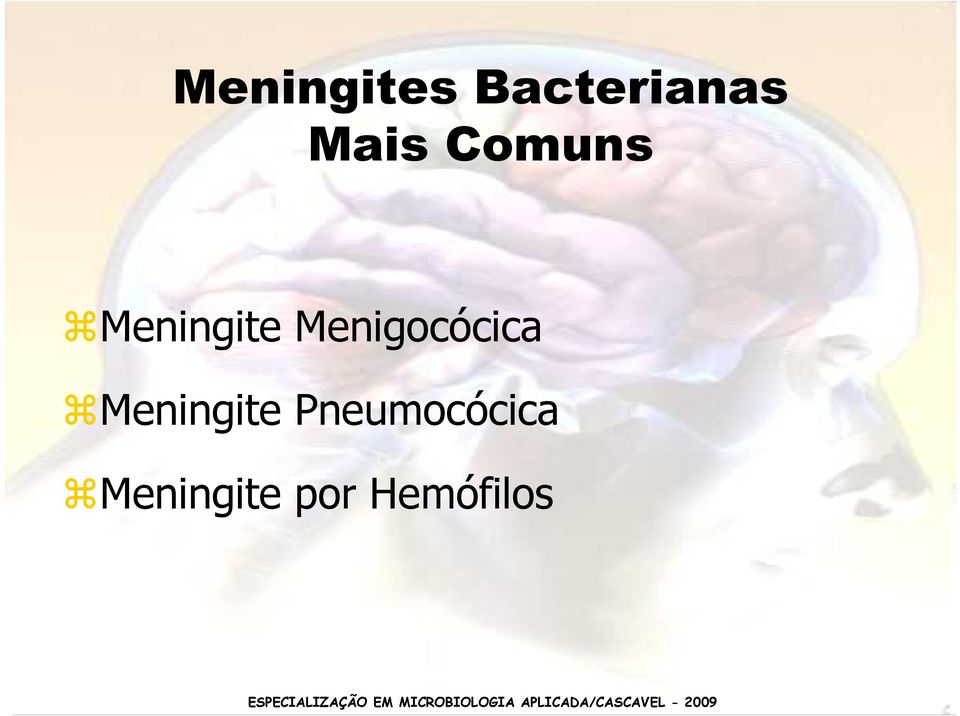 Menigocócica Meningite