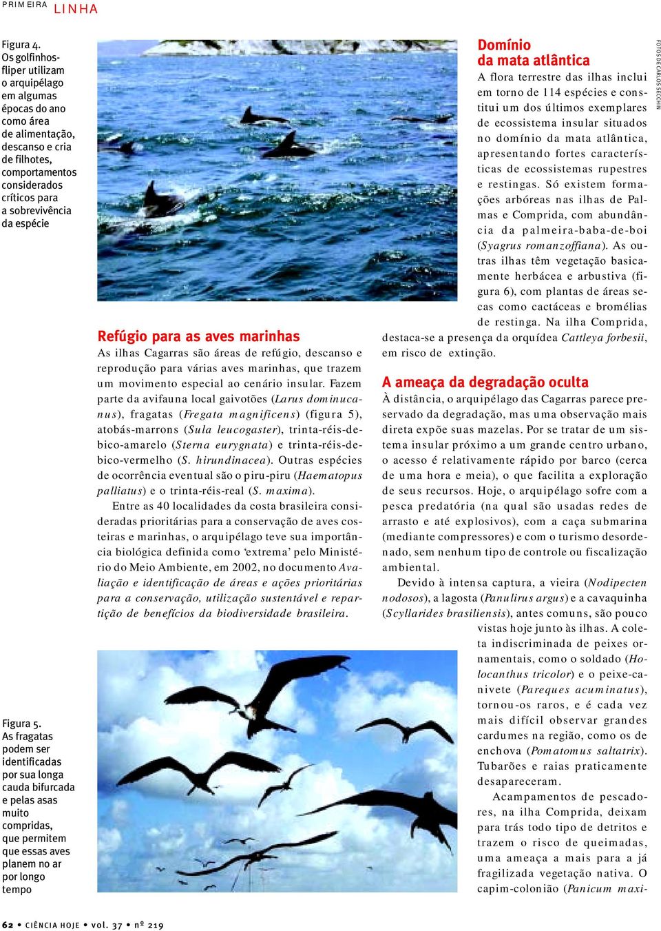 As fragatas podem ser identificadas por sua longa cauda bifurcada e pelas asas muito compridas, que permitem que essas aves planem no ar por longo tempo Refúgio para as aves marinhas As ilhas