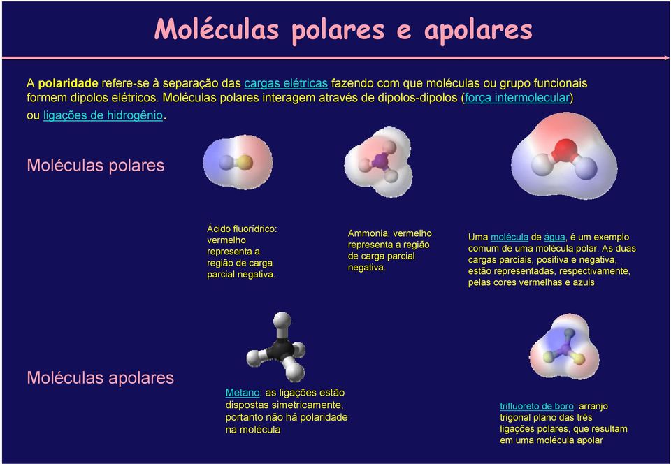 Ammonia: vermelho representa a região de carga parcial negativa. Uma molécula de água, é um exemplo comum de uma molécula polar.