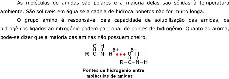 O grupo amino é responsável pela capacidade de solubilização das amidas, os hidrogênios ligados