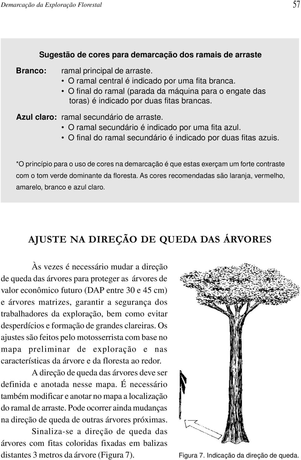 O final do ramal secundário é indicado por duas fitas azuis. *O princípio para o uso de cores na demarcação é que estas exerçam um forte contraste com o tom verde dominante da floresta.