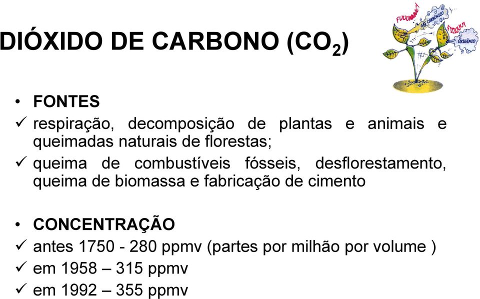 desflorestamento, queima de biomassa e fabricação de cimento CONCENTRAÇÃO