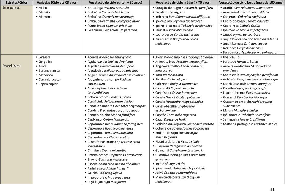 glaziovi Fumo-bravo Solanum eriathum Guapuruvu Schizolobium parahyba Acerola Malpighia emarginata Açoita-cavalo Luehea divaricata Algodão Bastardiopsis densiflora Algodoeiro Heliocarpus americanus