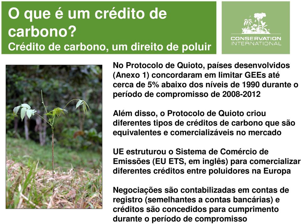 durante o período de compromisso de 2008-2012 Além disso, o Protocolo de Quioto criou diferentes tipos de créditos de carbono que são equivalentes e comercializáveis