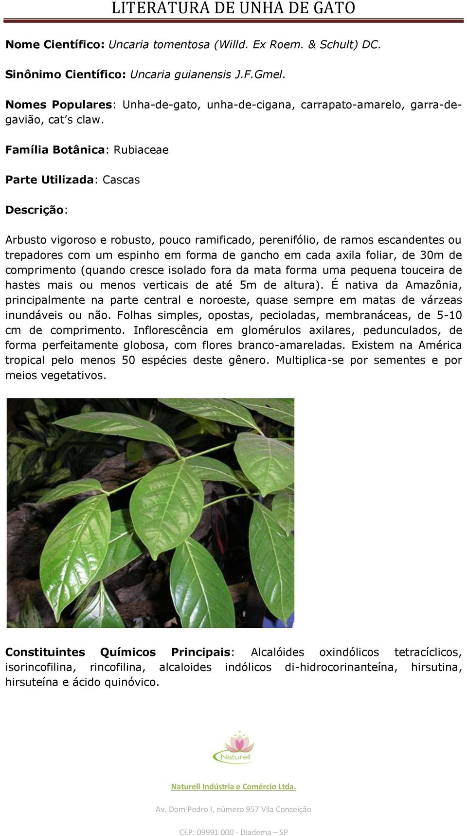 Família Botânica: Rubiaceae Parte Utilizada: Cascas Descrição: Arbusto vigoroso e robusto, pouco ramificado, perenifólio, de ramos escandentes ou trepadores com um espinho em forma de gancho em cada