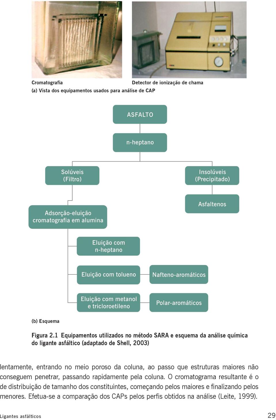 poroso da coluna, ao passo que estruturas maiores não conseguem penetrar, passando rapidamente pela coluna.