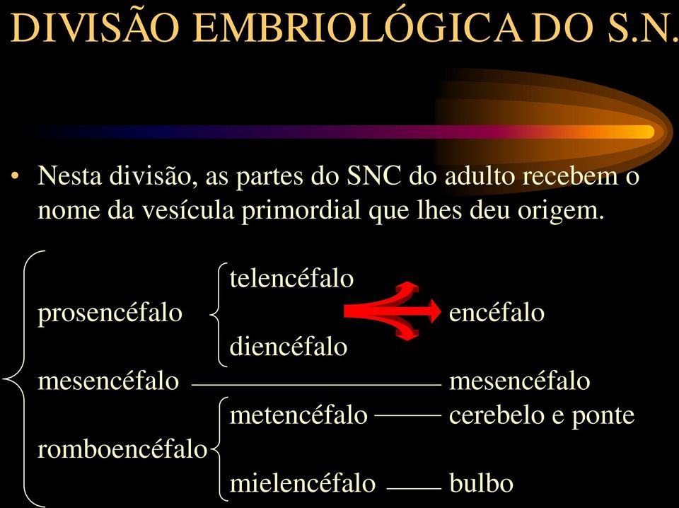 vesícula primordial que lhes deu origem.