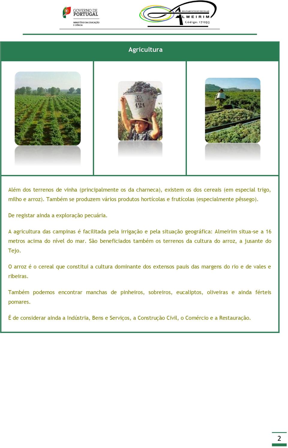 A agricultura das campinas é facilitada pela irrigação e pela situação geográfica: Almeirim situa-se a 16 metros acima do nível do mar.