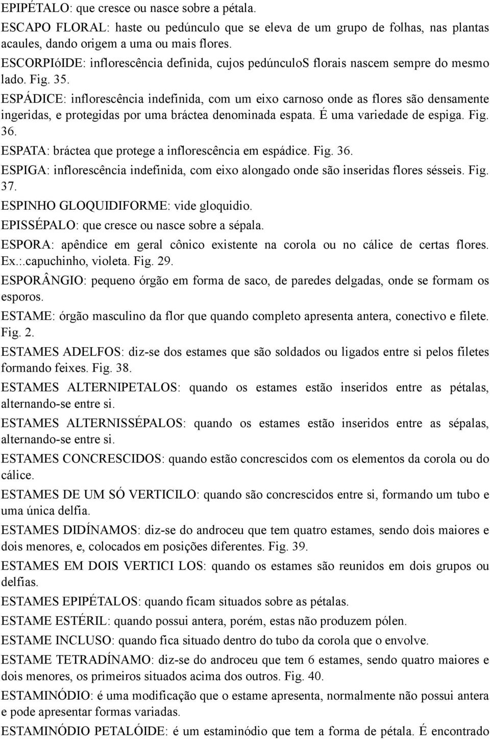 ESPÁDICE: inflorescência indefinida, com um eixo carnoso onde as flores são densamente ingeridas, e protegidas por uma bráctea denominada espata. É uma variedade de espiga. Fig. 36.