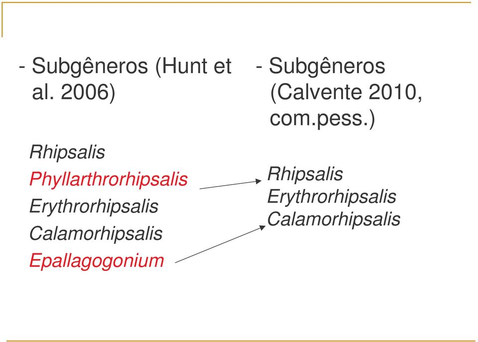Erythrorhipsalis Calamorhipsalis Epallagogonium