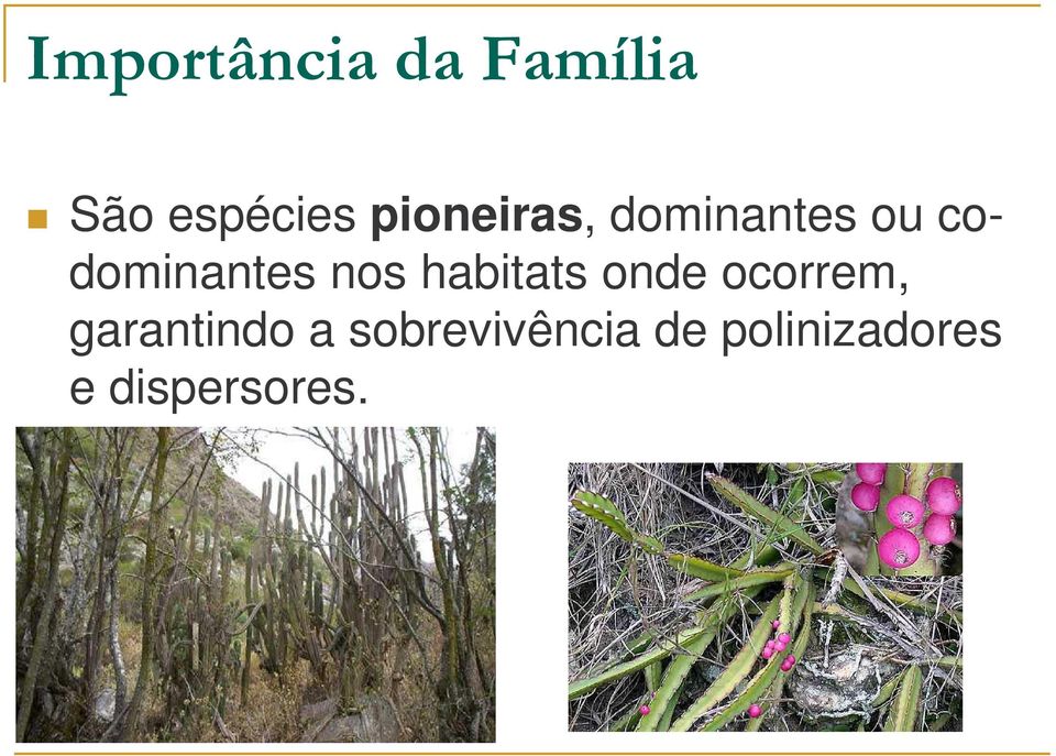 habitats onde ocorrem, garantindo a