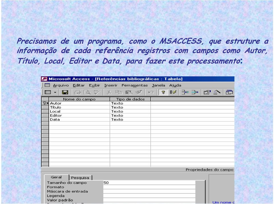 registros com campos como Autor, Título,