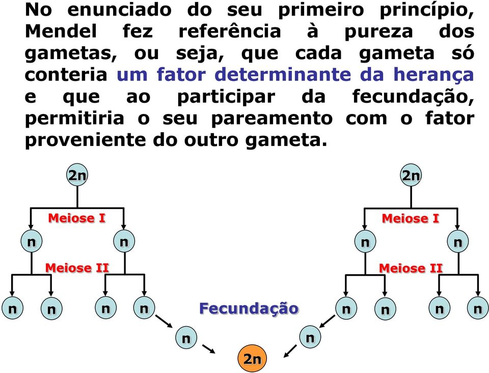 participar da fecundação, permitiria o seu pareamento com o fator proveniente do