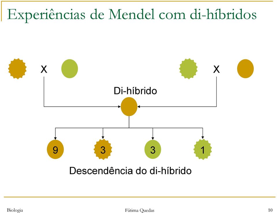 3 3 1 Descendência do