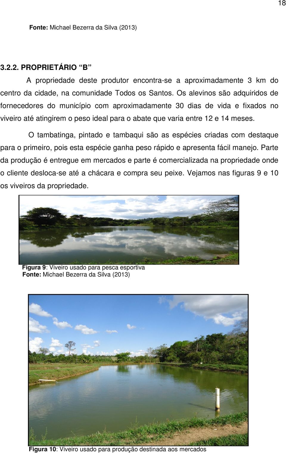 O tambatinga, pintado e tambaqui são as espécies criadas com destaque para o primeiro, pois esta espécie ganha peso rápido e apresenta fácil manejo.