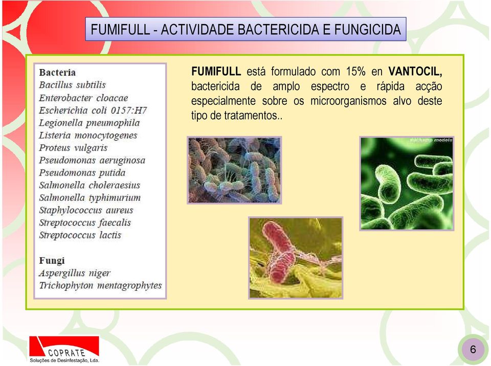 bactericida de amplo espectro e rápida acção