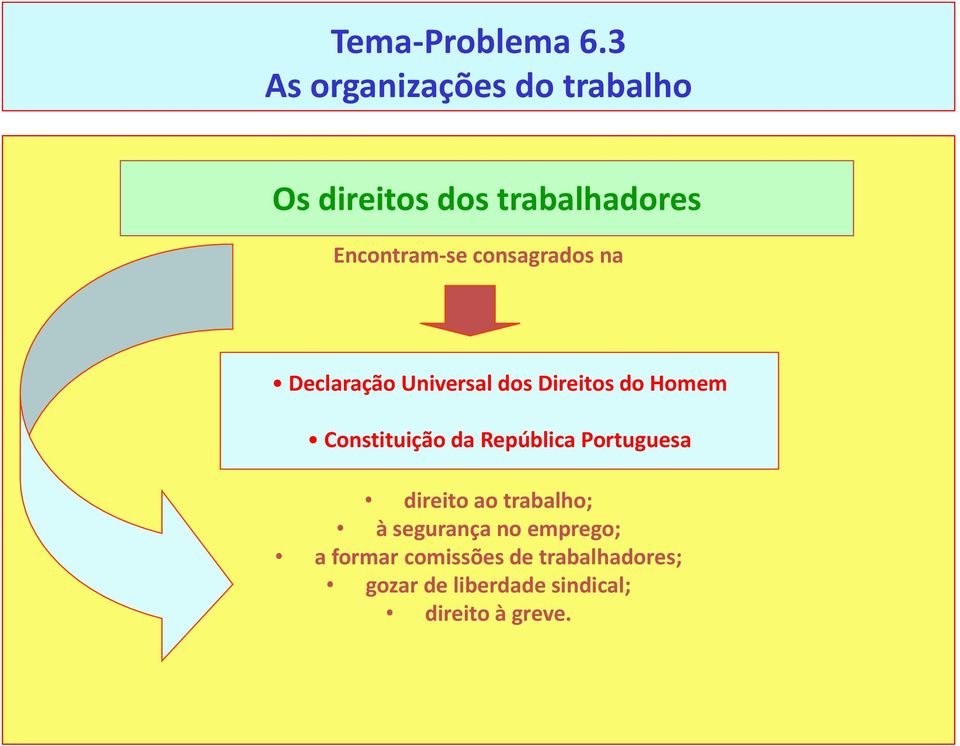 consagrados na Declaração Universal dos Direitos do Homem Constituição da