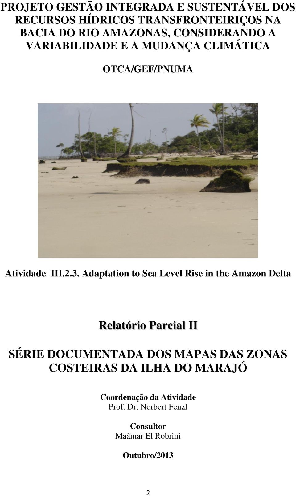 Adaptation to Sea Level Rise in the Amazon Delta Relatório Parcial II SÉRIE DOCUMENTADA DOS MAPAS DAS