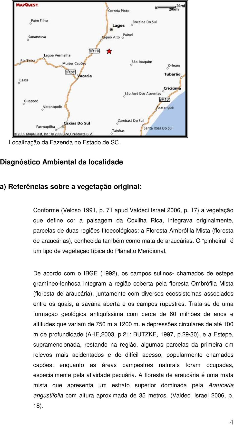 mata de araucárias. O pinheiral é um tipo de vegetação típica do Planalto Meridional.