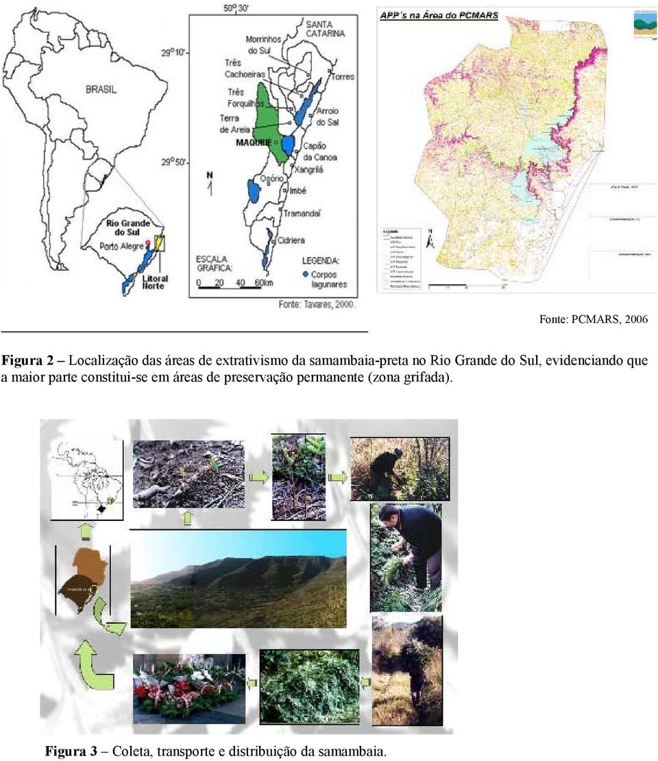 evidenciando que a maior parte constitui-se em áreas de