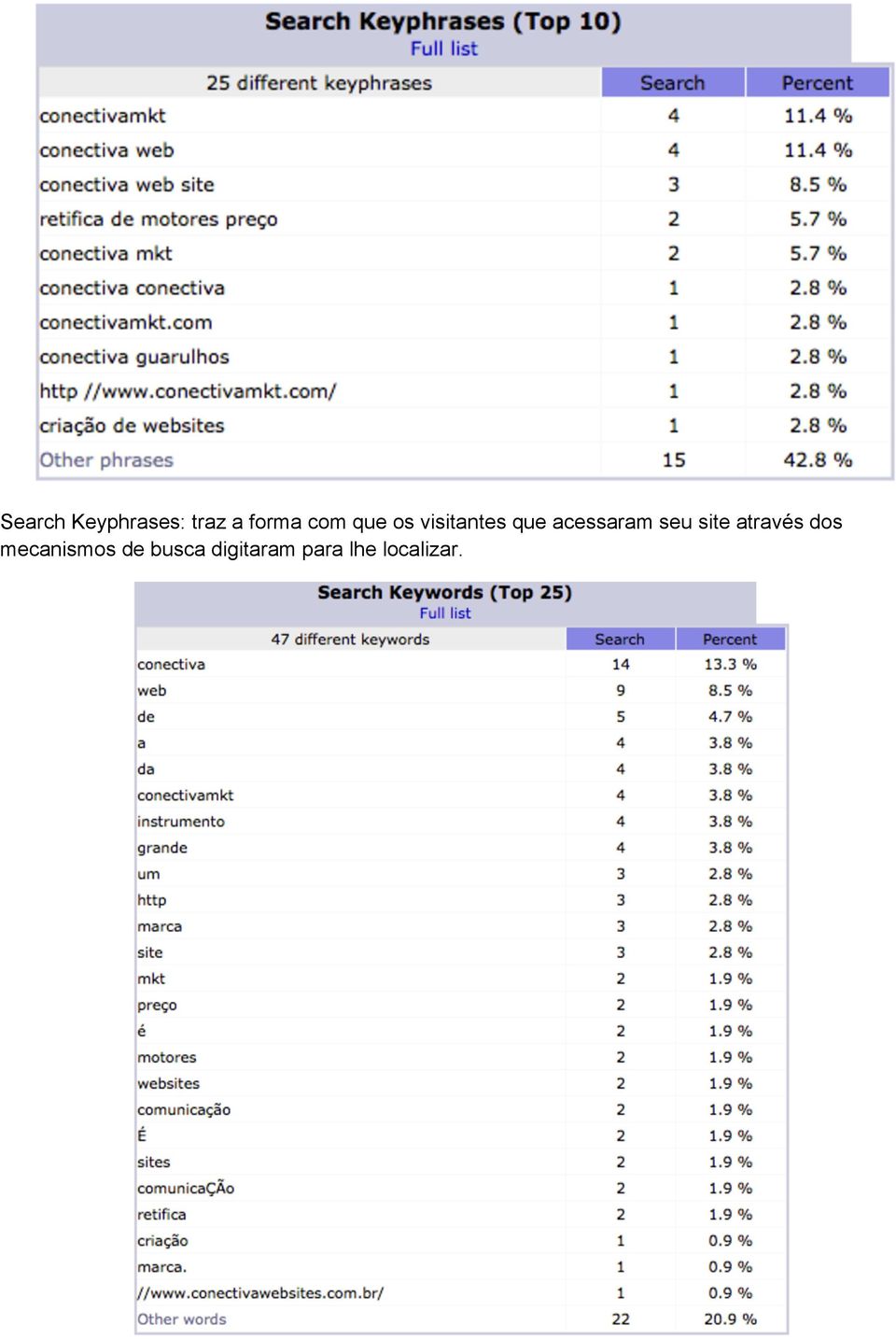 acessaram seu site através dos