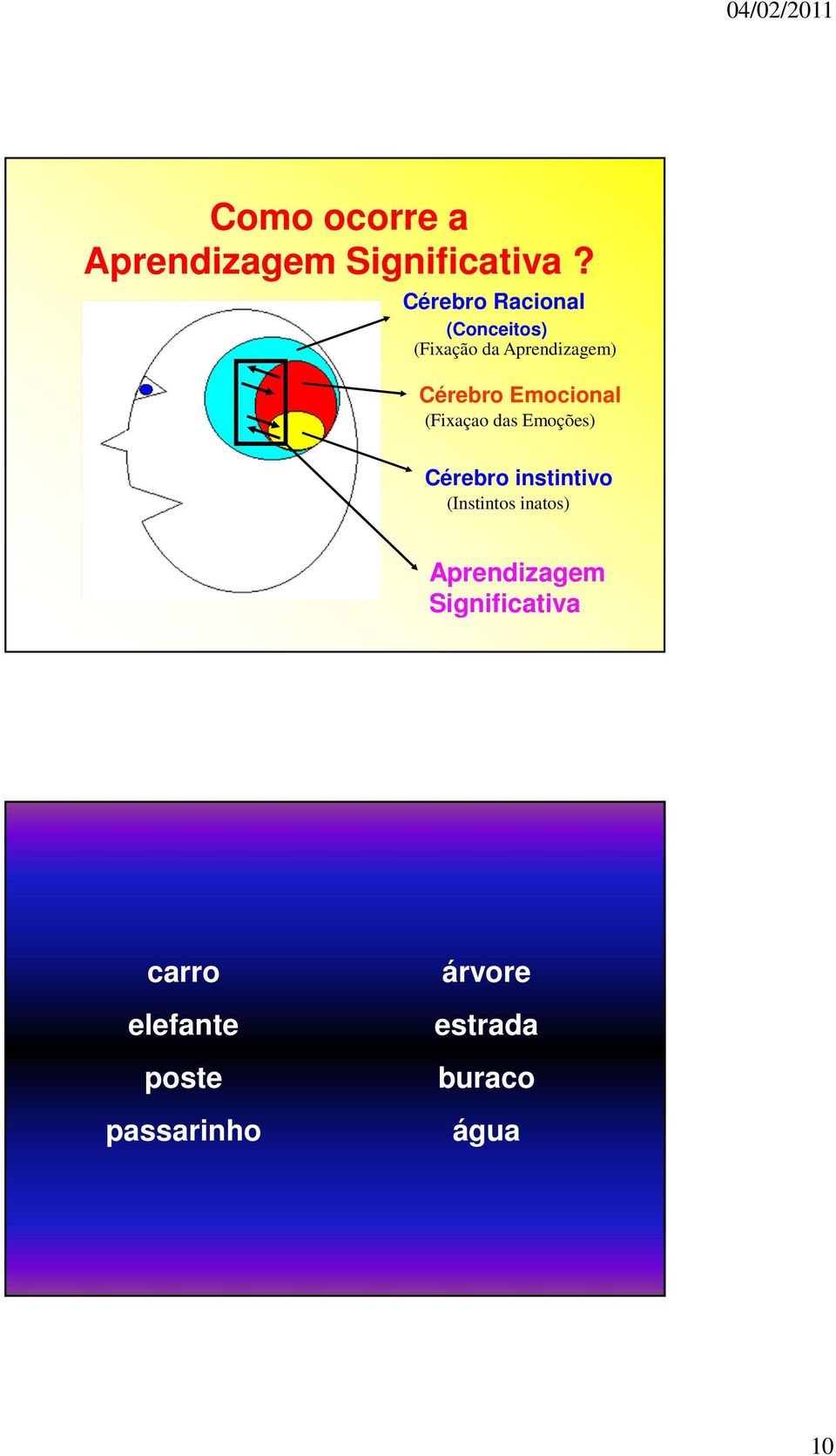 Emocional (Fixaçao das Emoções) Cérebro instintivo (Instintos