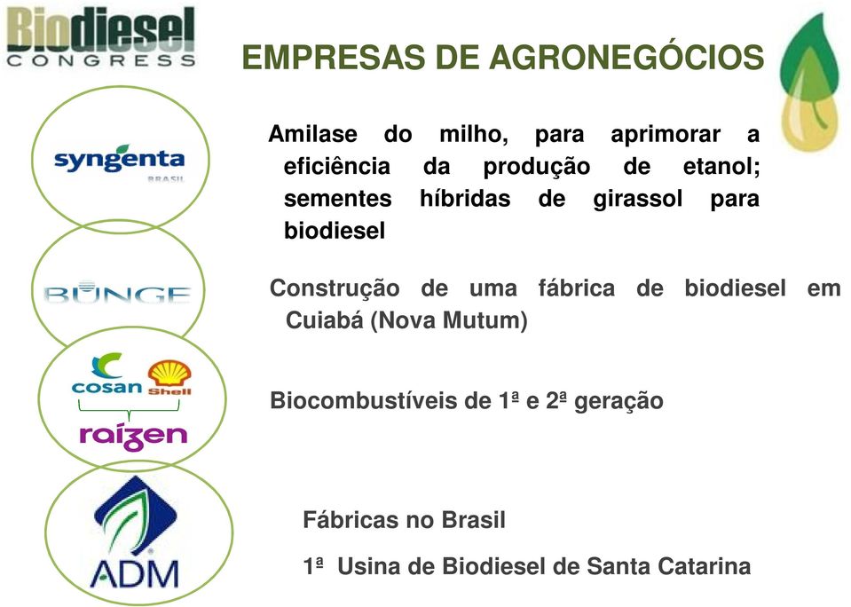Construção de uma fábrica de biodiesel em Cuiabá (Nova Mutum)