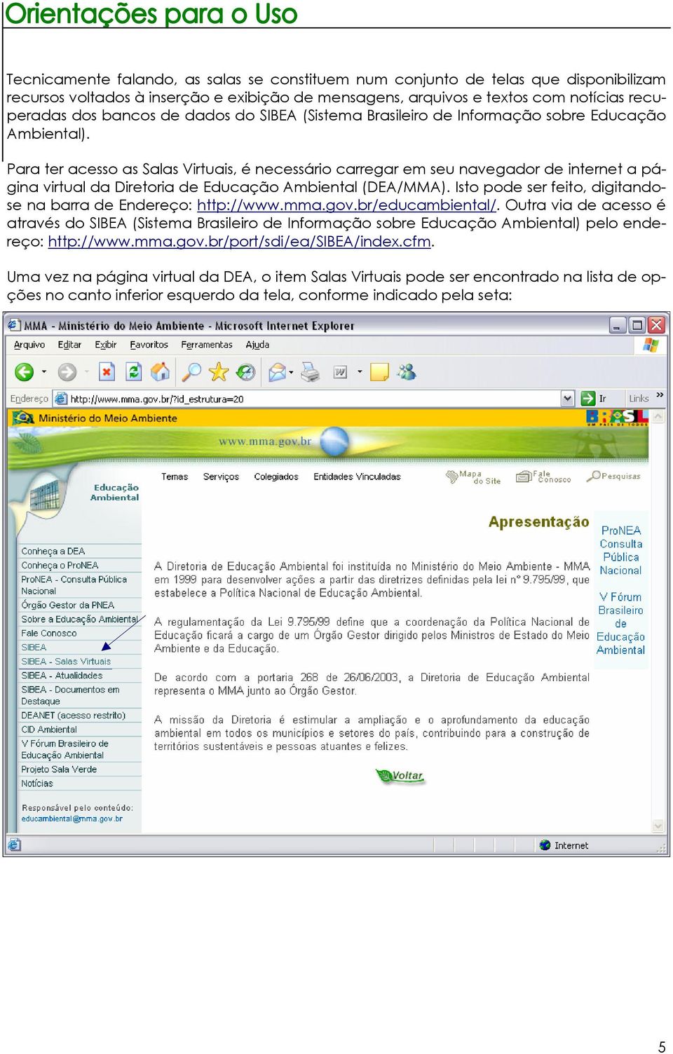 Para ter acesso as Salas Virtuais, é necessário carregar em seu navegador de internet a página virtual da Diretoria de Educação Ambiental (DEA/MMA).