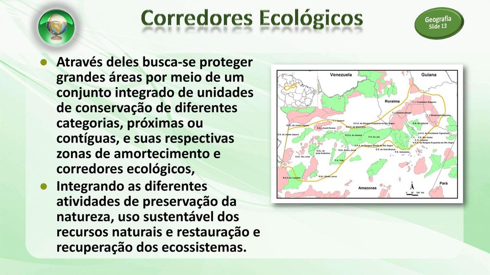 amortecimento e corredores ecológicos, Integrando as diferentes atividades de preservação da