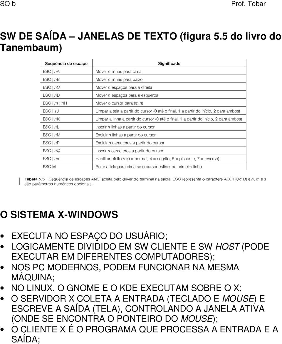 DIFERENTES COMPUTADORES); NOS PC MODERNOS, PODEM FUNCIONAR NA MESMA MÁQUINA; NO LINUX, O GNOME E O KDE EXECUTAM SOBRE O