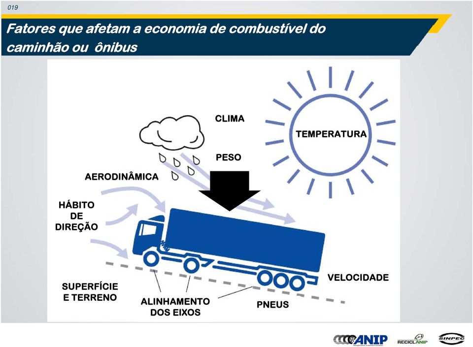 TEMPERATURA AERODINÂMICA PESO HÁBITO DE