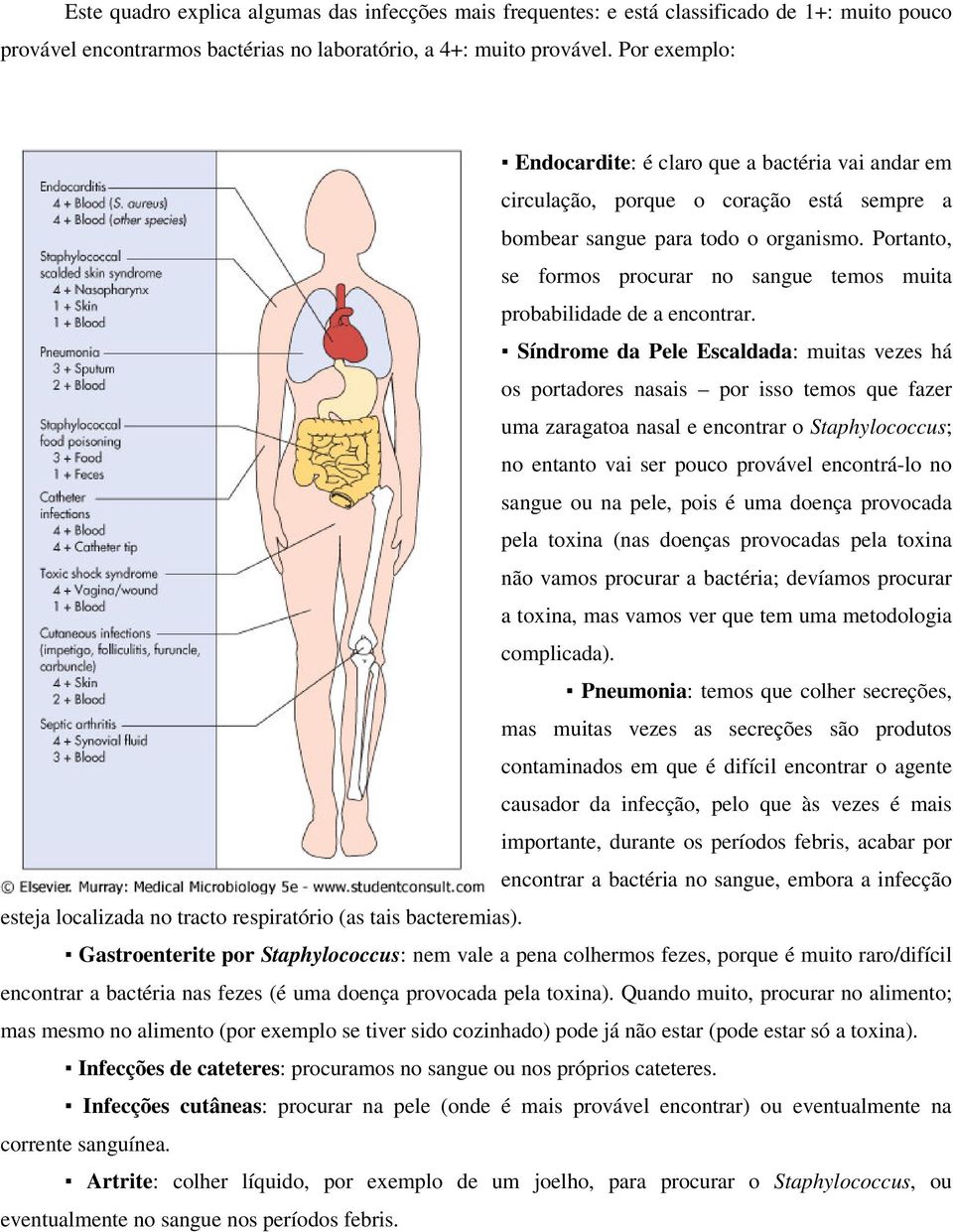 Portanto, se formos procurar no sangue temos muita probabilidade de a encontrar.