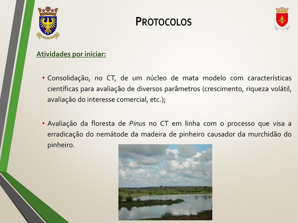 volátil, avaliação do interesse comercial, etc.