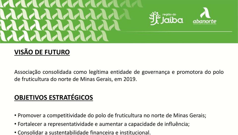 OBJETIVOS ESTRATÉGICOS Promover a competitividade do polo de fruticultura no norte de Minas