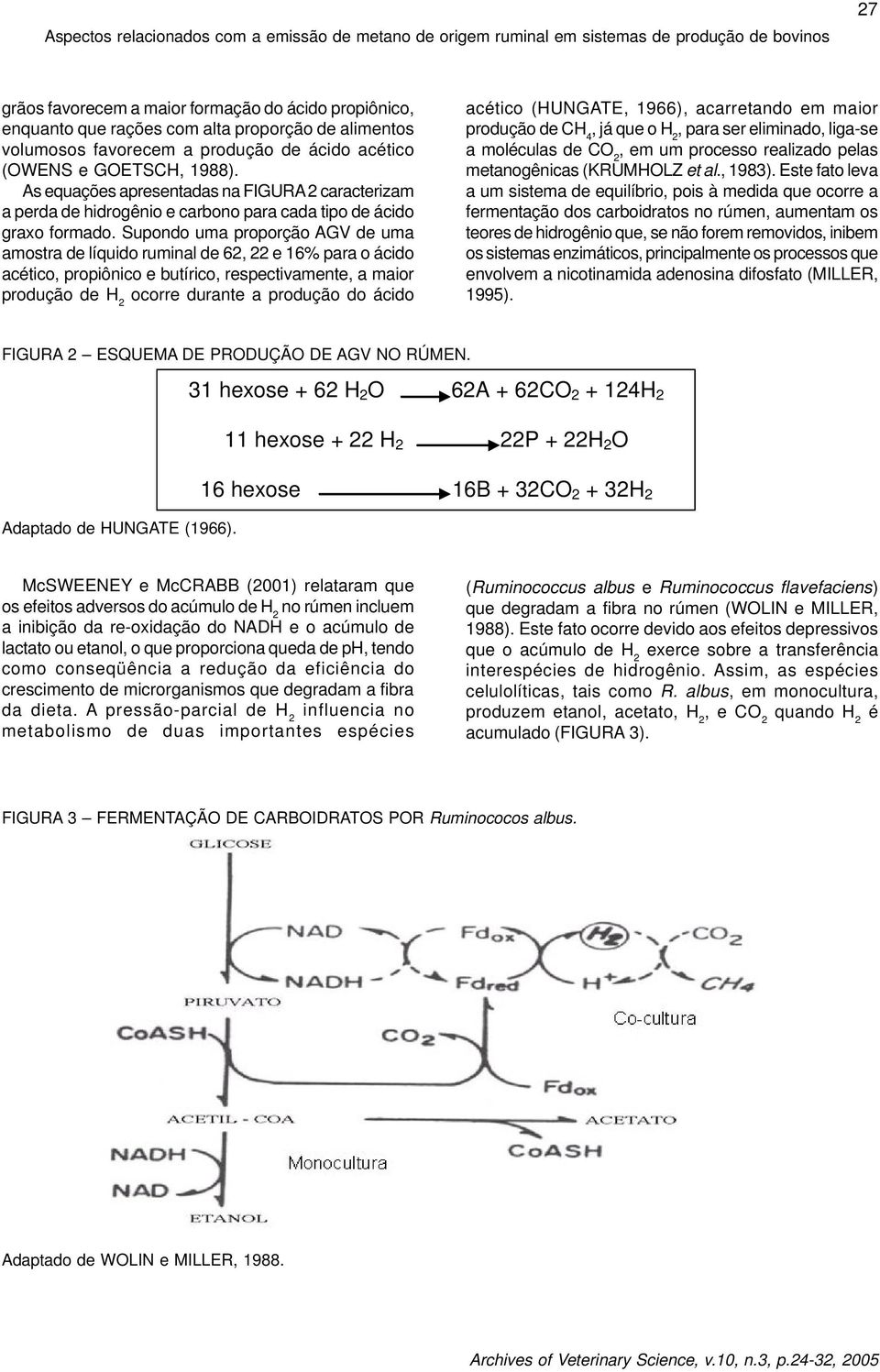 As equações apresentadas na FIGURA 2 caracterizam a perda de hidrogênio e carbono para cada tipo de ácido graxo formado.