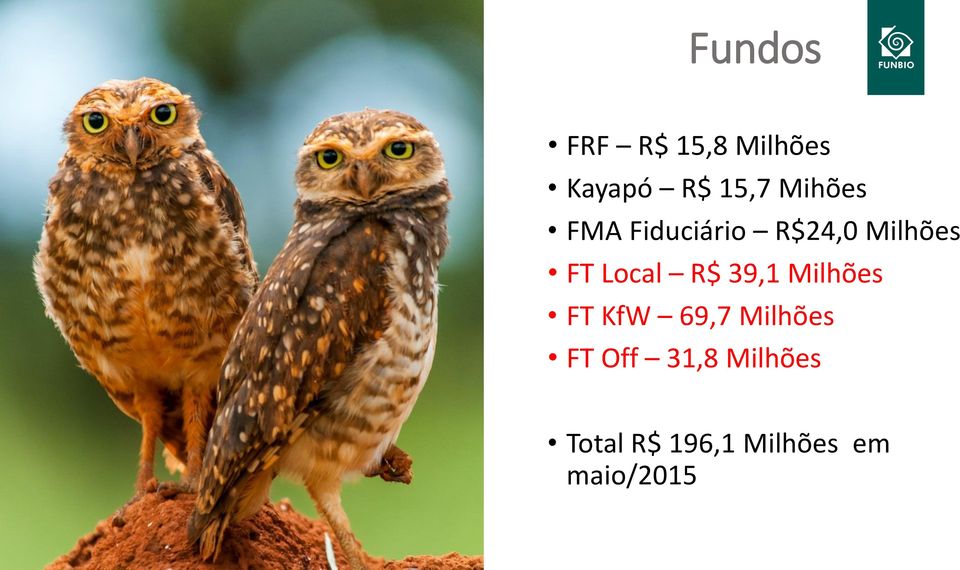 Local R$ 39,1 Milhões FT KfW 69,7 Milhões FT