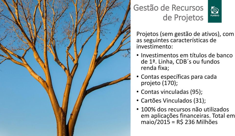 Linha, CDB s ou fundos renda fixa; Contas específicas para cada projeto (170); Contas