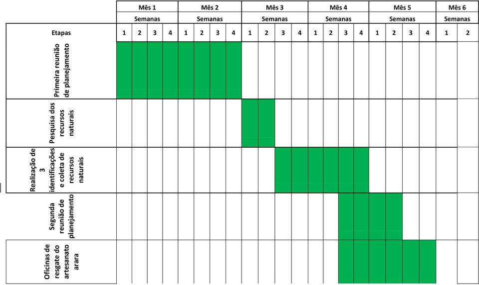 Primeira reunião de planejamento Mês 1 Mês 2 Mês 3 Mês 4 Mês 5 Mês 6 Semanas