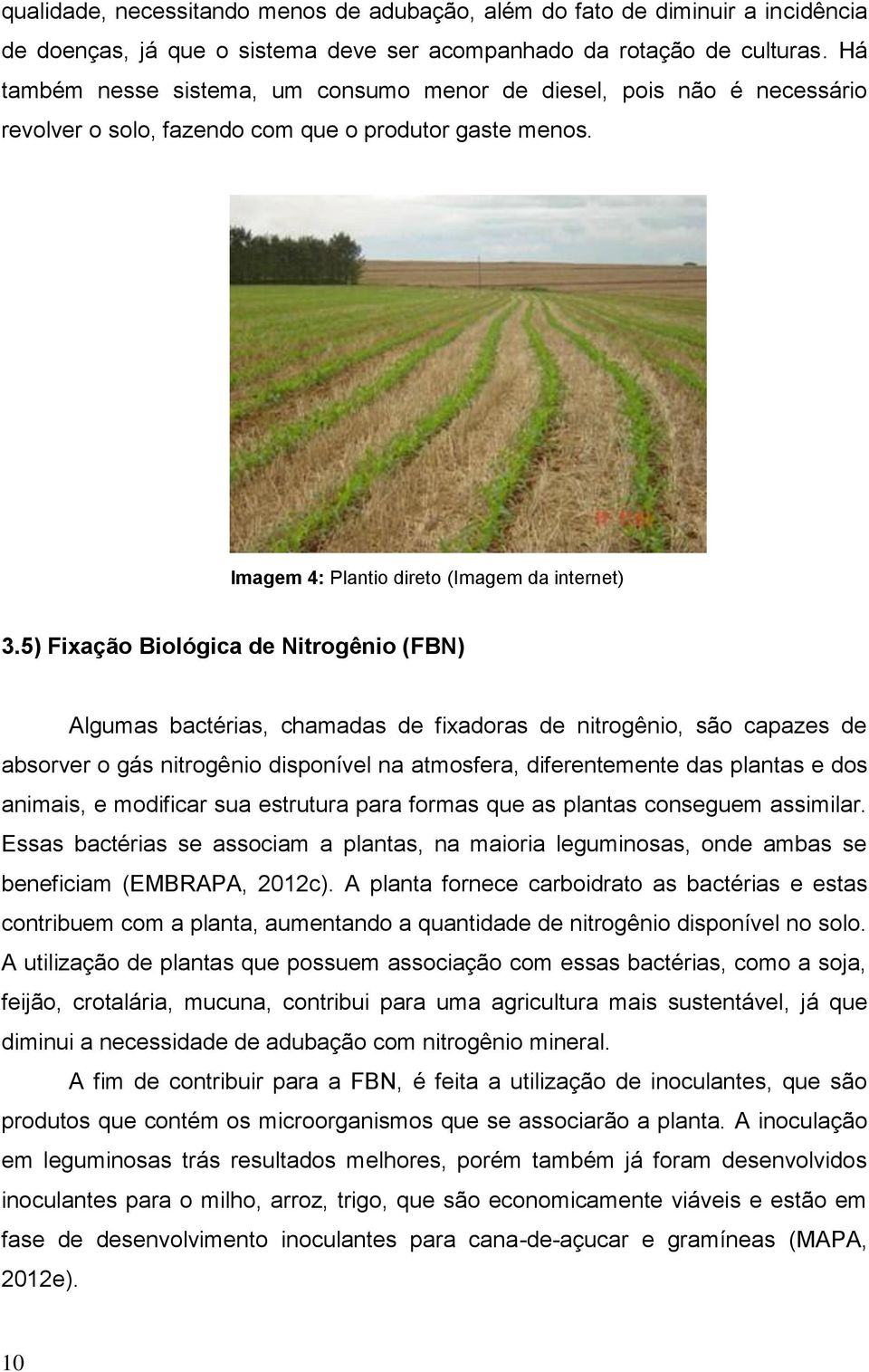 5) Fixação Biológica de Nitrogênio (FBN) Algumas bactérias, chamadas de fixadoras de nitrogênio, são capazes de absorver o gás nitrogênio disponível na atmosfera, diferentemente das plantas e dos