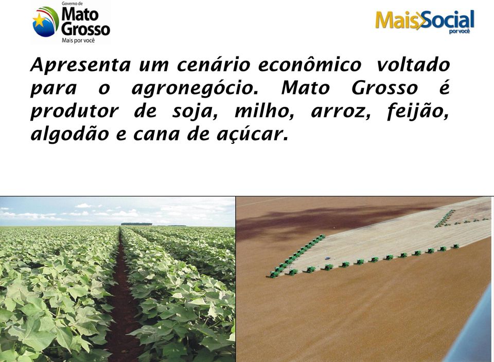 Mato Grosso é produtor de soja,