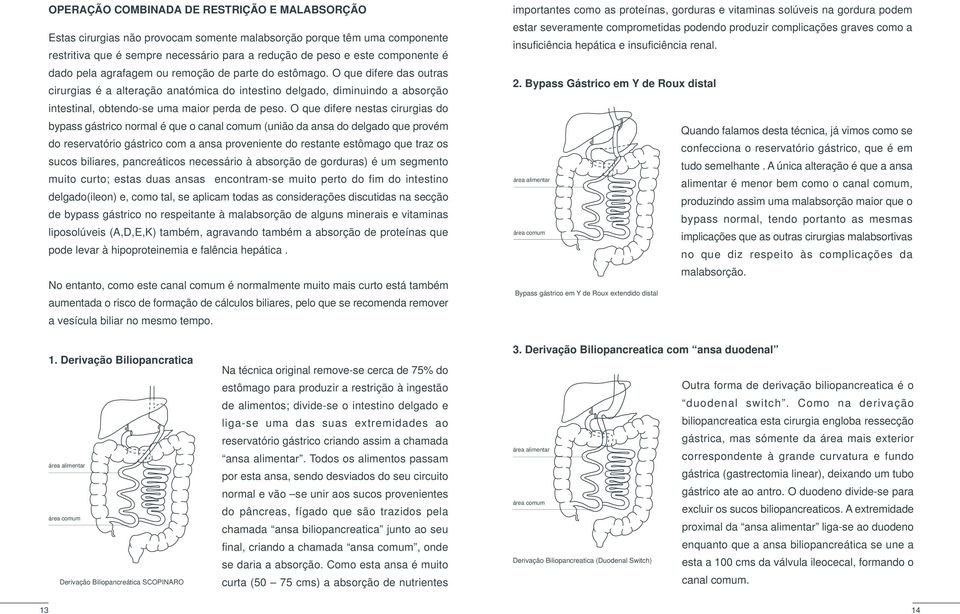 O que difere das outras cirurgias é a alteração anatómica do intestino delgado, diminuindo a absorção intestinal, obtendo-se uma maior perda de peso.