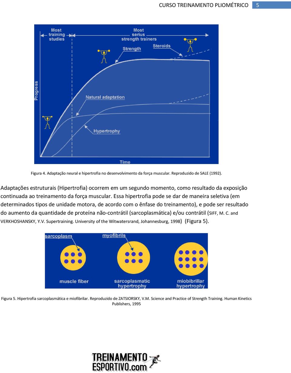 Essa hipertrofia pode se dar de maneira seletiva (em determinados tipos de unidade motora, de acordo com o ênfase do treinamento), e pode ser resultado do aumento da quantidade de proteína