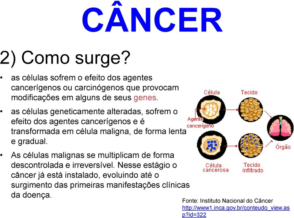 as células geneticamente alteradas, sofrem o efeito dos agentes cancerígenos e é transformada em célula maligna, de forma lenta e gradual.