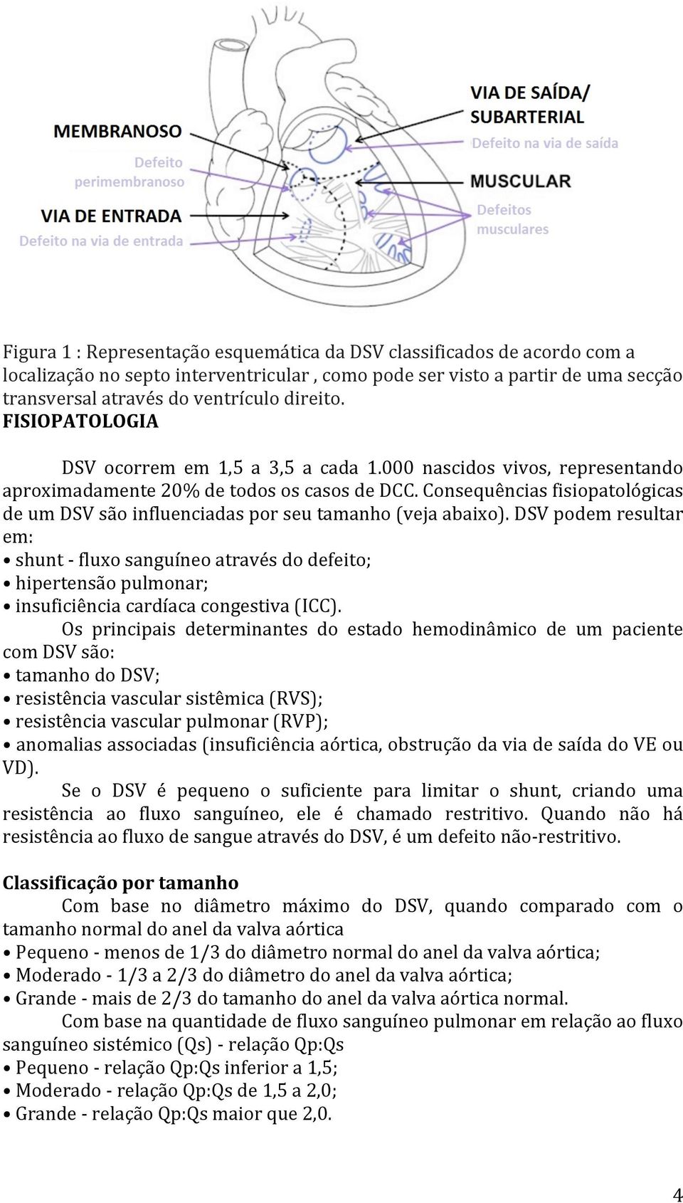 Consequências fisiopatológicas de um DSV são influenciadas por seu tamanho (veja abaixo).