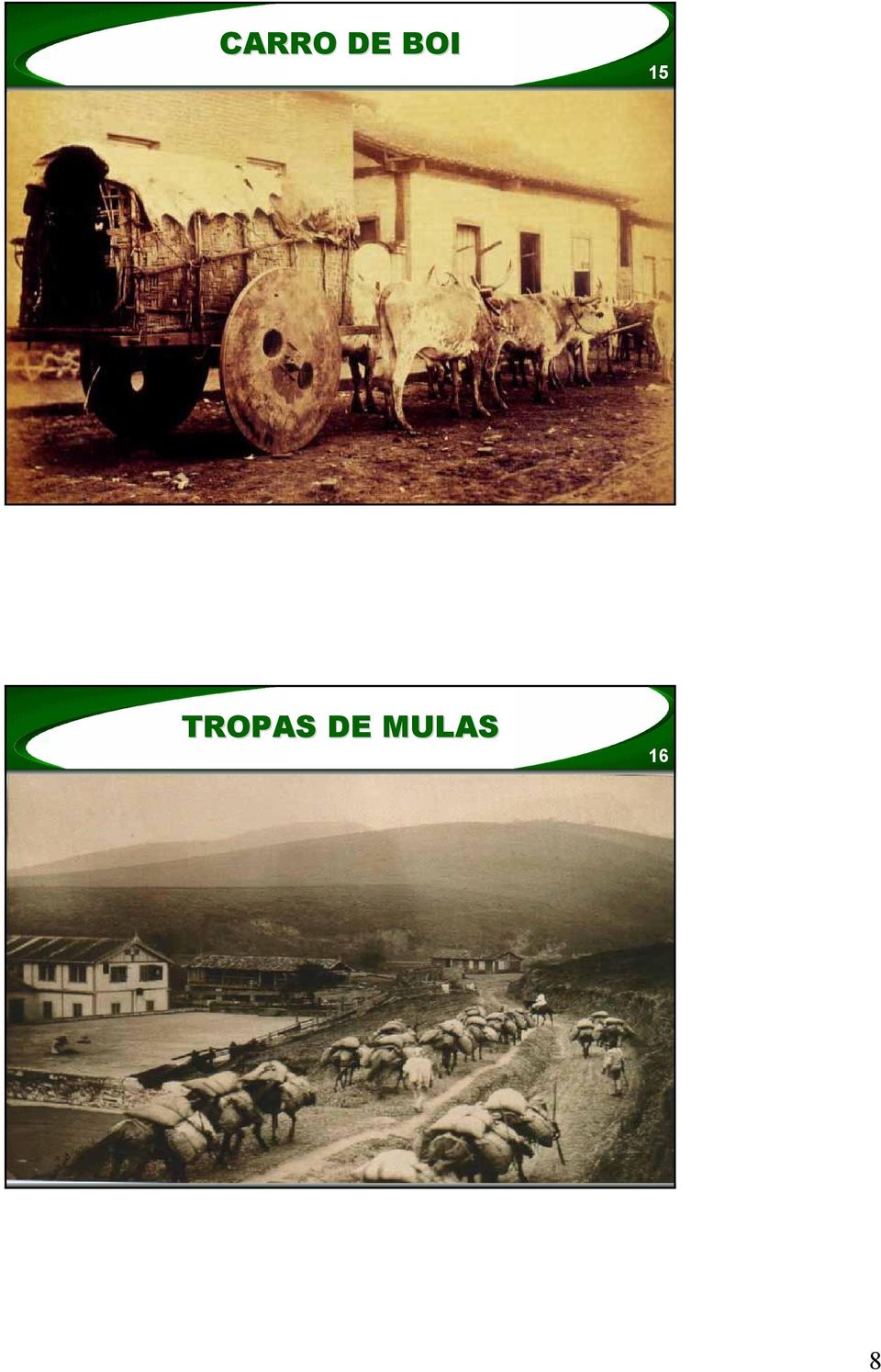 TROPAS DE